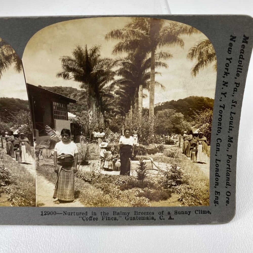 Antique 1905 Stereoview Photo Card Women Children Coffee FINA Guatemala C. A. - Picture 4 of 7